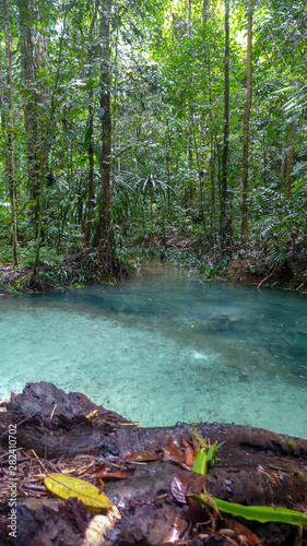 The Kalibiru river, Hidden Blue River in Mayalibit, Waigeo, Raja Ampat, West Papua, Indonesia