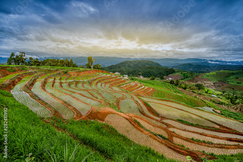 Beautiful landscape view of Terraced Paddy Field in Mae-Jam Village on sunset time  Chaing Mai Province   Thailand  Asia..
