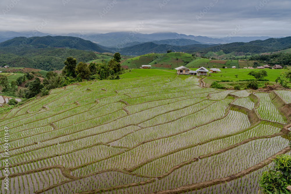 Beautiful landscape view of Terraced Paddy Field in Mae-Jam Village in morning time, Chaing Mai Province , Thailand, Asia.
