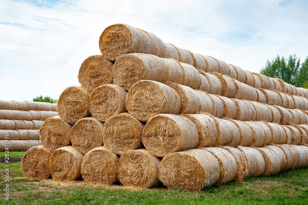 Hay bales. Hay bales are stacked on the field in large stacks. Hay bales. Hay bales are stacked on the field in large stacks.
