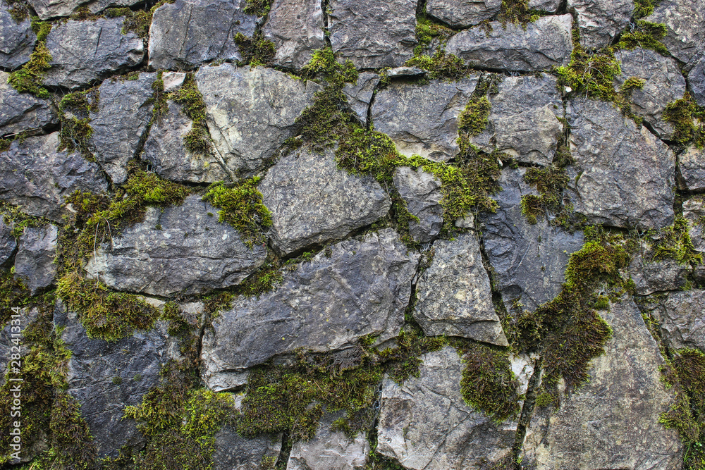 Grunge rock work pattern background with cracks and moss between them. Close up of wet stone wall texture.