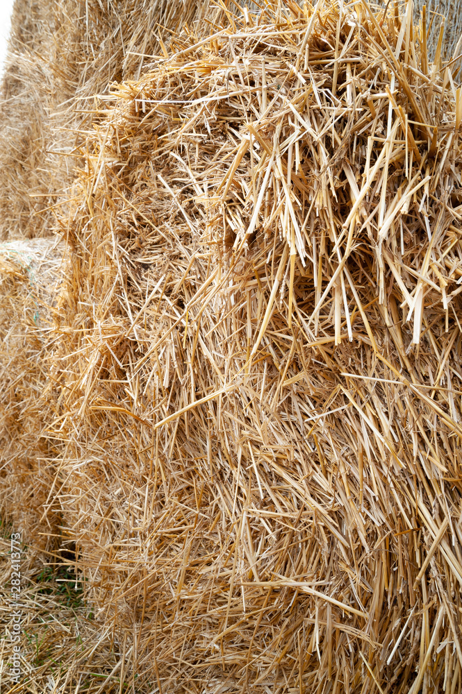 Stack hay closeup. The texture of hay bales is stacked in large stacks. Stack hay closeup. The texture of hay bales is stacked in large stacks.