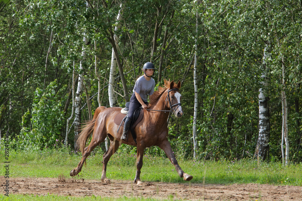 Beautiful cowgirl bareback ride her horse in woods glade at sunset Beautiful cowgirl bareback ride her horse in woods glade at sunset