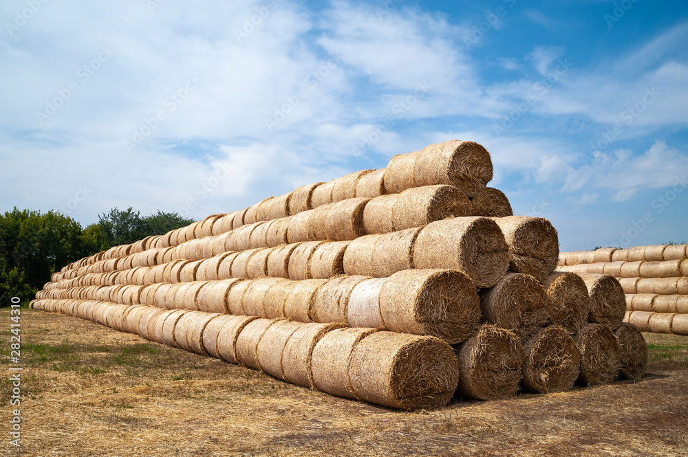 Bales of hay. Many large bales of hay are stacked on a field in stacks. Bales of hay. Many large bales of hay are stacked on a field in stacks.