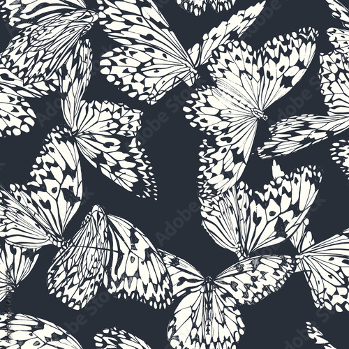 Canvas Print Butterfly seamless pattern