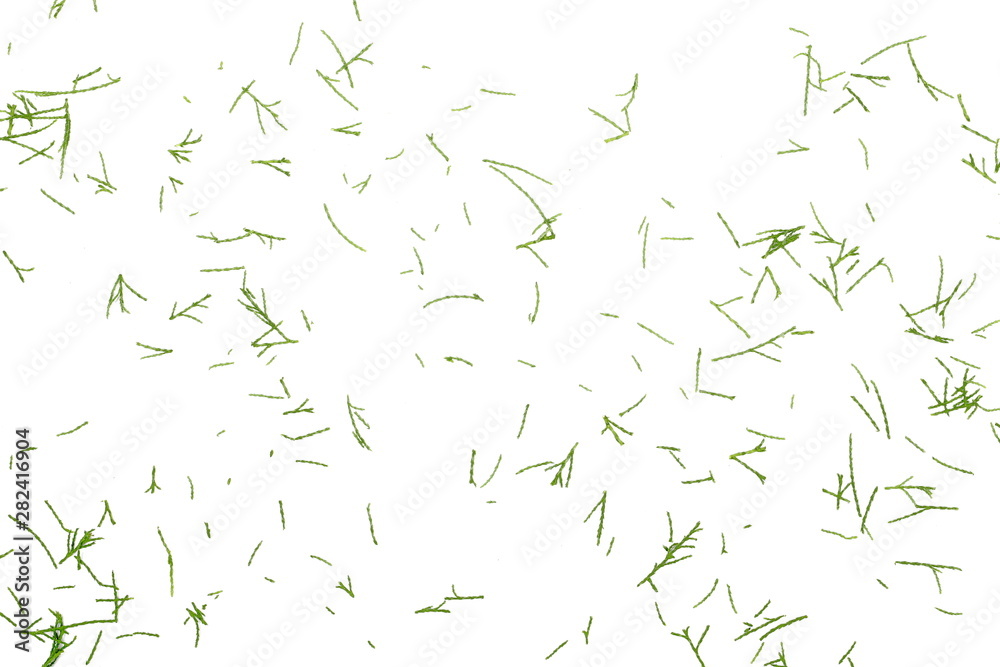 Conifer pine leaves, needles plant texture isolated on white background, top view Conifer pine leaves, needles plant texture isolated on white background, top view