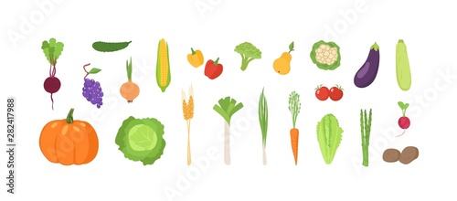 Fototapeta Naklejka Na Ścianę i Meble -  Bundle of ripe fresh organic fruits and vegetables isolated on white background. Set of natural crops, wholesome vegetarian products, fresh healthy food. Flat cartoon colorful vector illustration.
