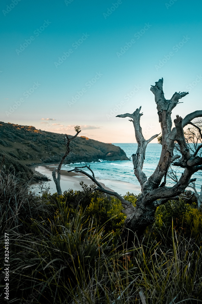 Obraz premium Hat Head Back Beach