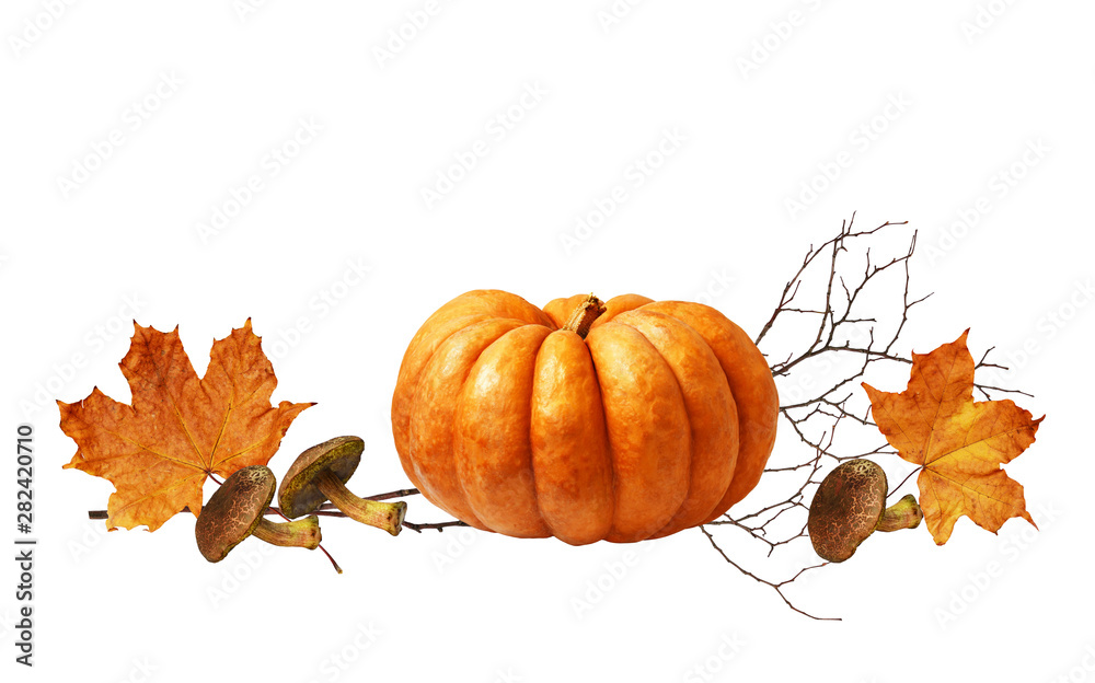Ripe pumpkin, mushrooms and autumn maple leaves