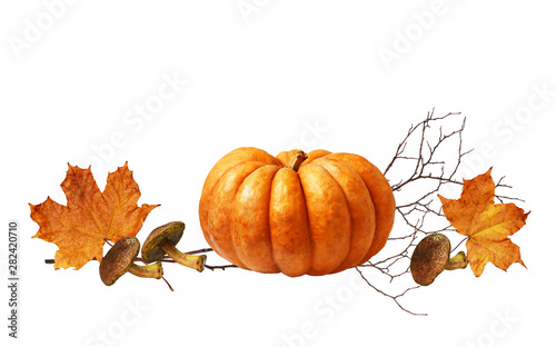 Ripe pumpkin  mushrooms and autumn maple leaves