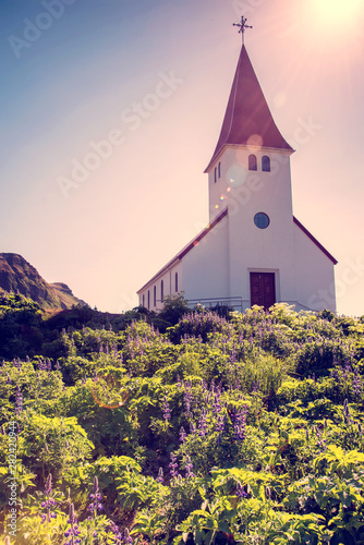 The famous Vik church (Vikurkirkja) and flowers of lupine in Iceland. place of pilgrimage. Impressive landscape. Exotic countries. Amazing places.