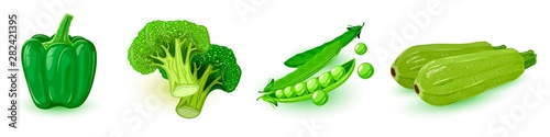 Slika na platnu Vector set with green raw vegetables in line: bell pepper, broccoli, peas, summer cousa squash