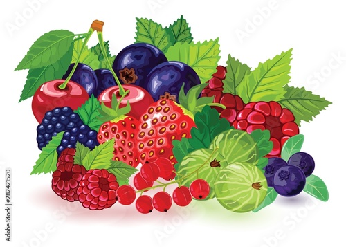 Big set of summer ripe berries picking in garden or forest. Blueberry, blackberry, gooseberry, red and black currant, raspberry, strawberry, cherry with leaves. Cartoon icons isolated on white.