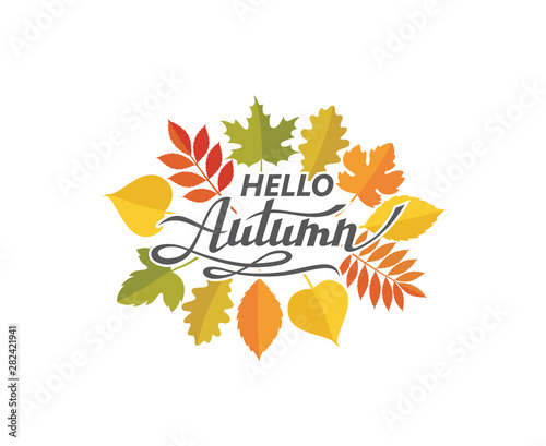 hello autumn lettering label with woody leaves isolated on white background