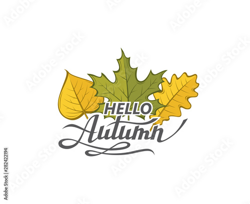hello autumn lettering label with woody leaves isolated on white background