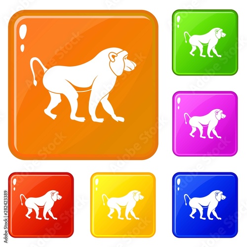 Japanese macaque icons set collection vector 6 color isolated on white background
