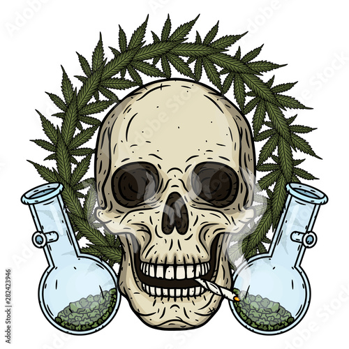 Skull. Skull with bong and marijuana leaves. Rastaman skull with cannabis leafs and spliff.