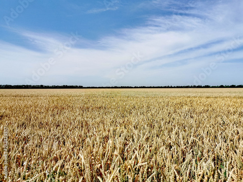 Nature lanscapes