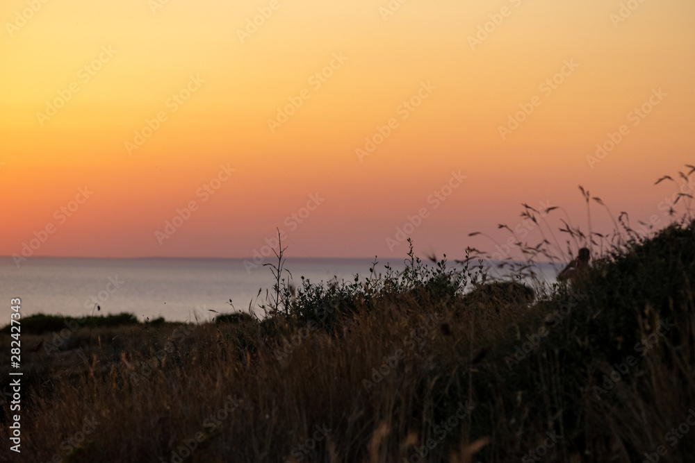 Obraz premium sunset over field
