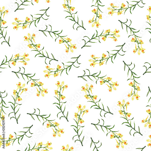Seamless pattern with snapdragon flowers on white background. Hand drawn watercolor illustration. © angry_red_cat