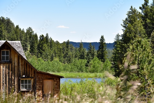 Cabin in the wilderness 