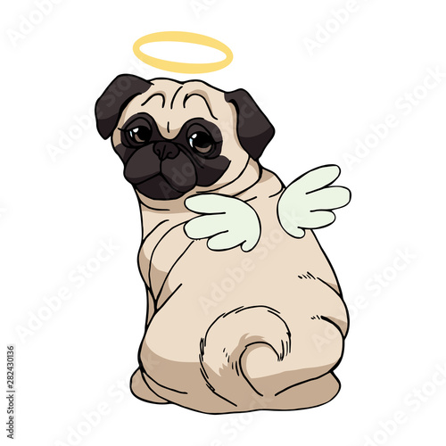 Cute pug with angel wings and nimbus isolated on white background. Vector dog illustration. Funny cartoon character