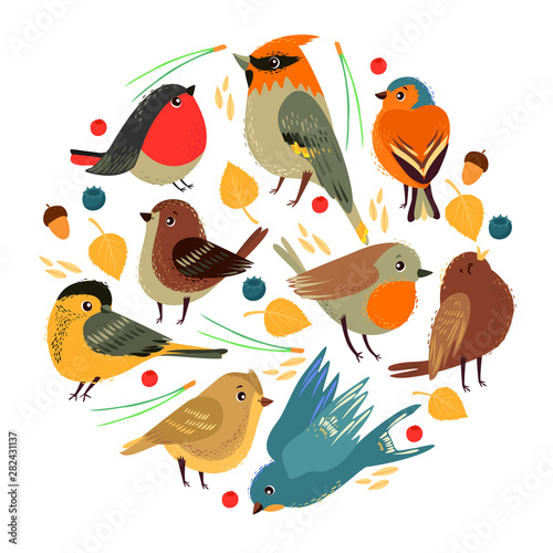 large set with birds and elements of forest plants. autumn time. cute tit, sparrow, swallow, bullfinch, early bird