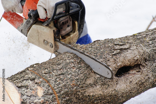 Close-up of woodcutter sawing chainsaw in motion  sawdust fly to sides.