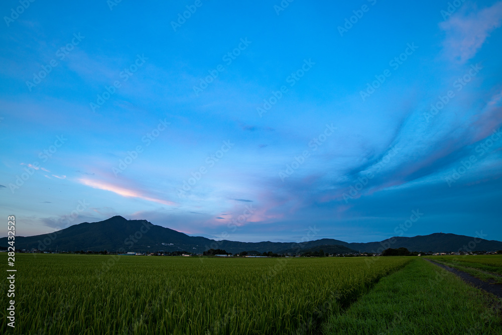 Fototapeta premium 筑波山夕暮れ夏実り