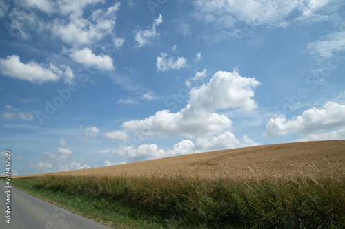 countryside road in the field