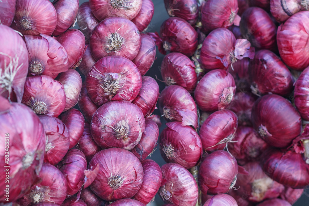 bundles of red onions hanging in the market