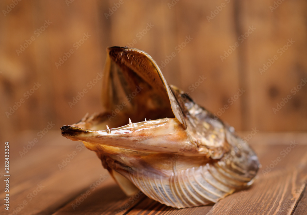 Taxidermied fish pike head on wooden background