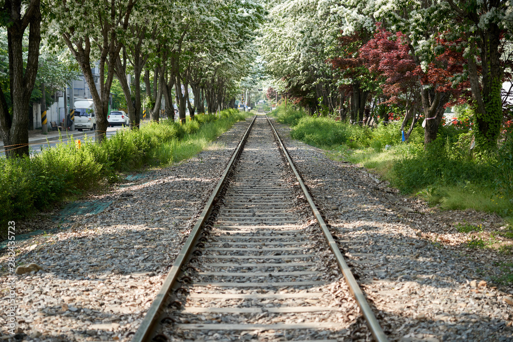 railway in forest railway in forest