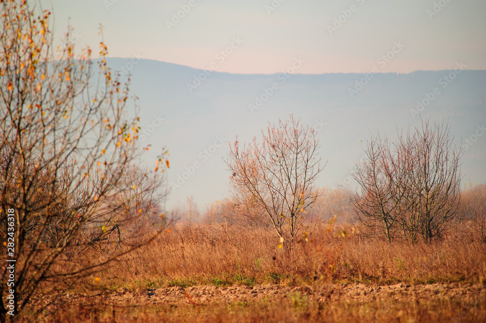 Foggy autumn landscape in mountains Foggy autumn landscape in mountains