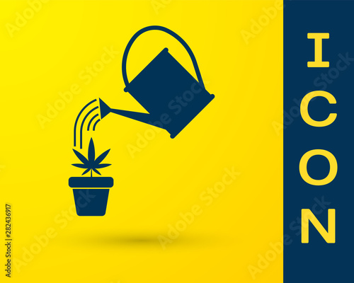 Blue Watering can sprays water drops above marijuana or cannabis plant in pot icon isolated on yellow background. Marijuana growing concept. Vector Illustration