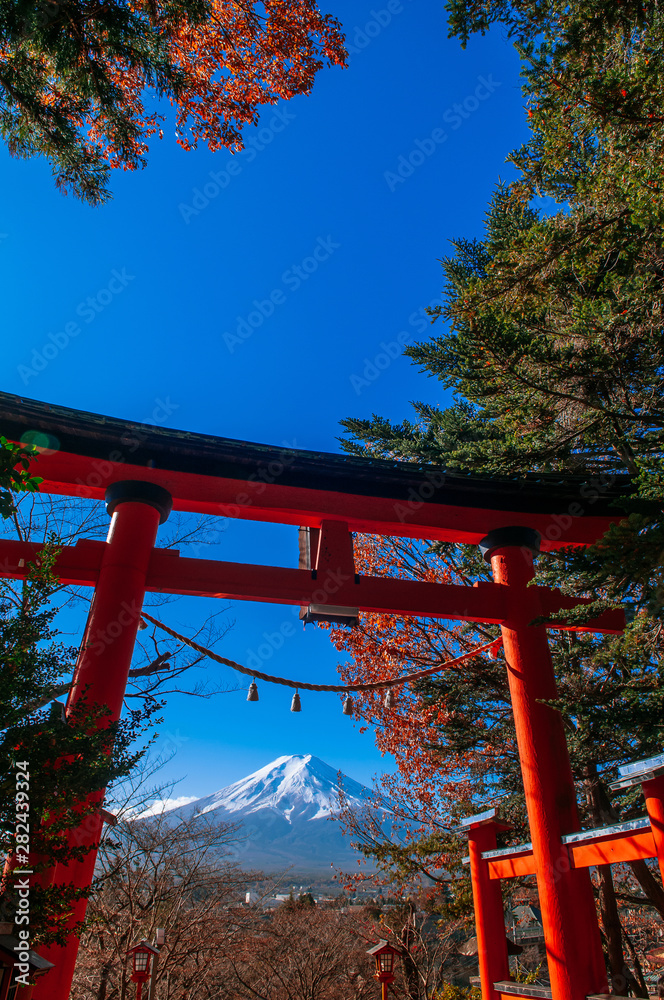 Red Torii gate of Chureito Pagoda Mount Fuji in centre under blue sky autumn. Shimoyoshida - Fujiyoshida Red Torii gate of Chureito Pagoda Mount Fuji in centre under blue sky autumn. Shimoyoshida - Fujiyoshida
