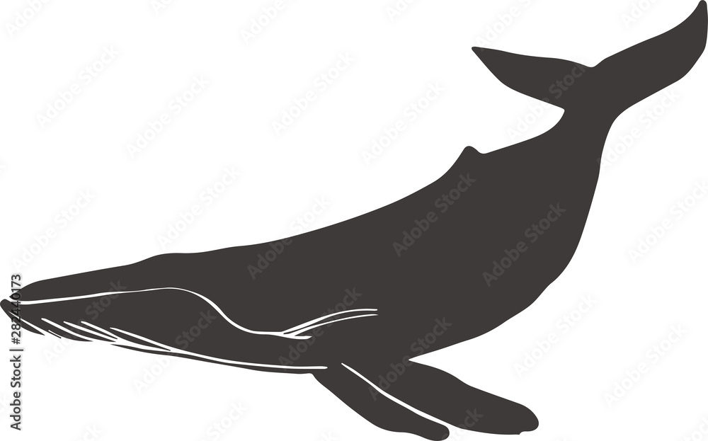 クジラアイコンイラスト Stock Vector Adobe Stock