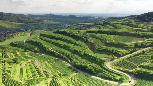 aerial view vineyard scenery at Kaiserstuhl Germany photo