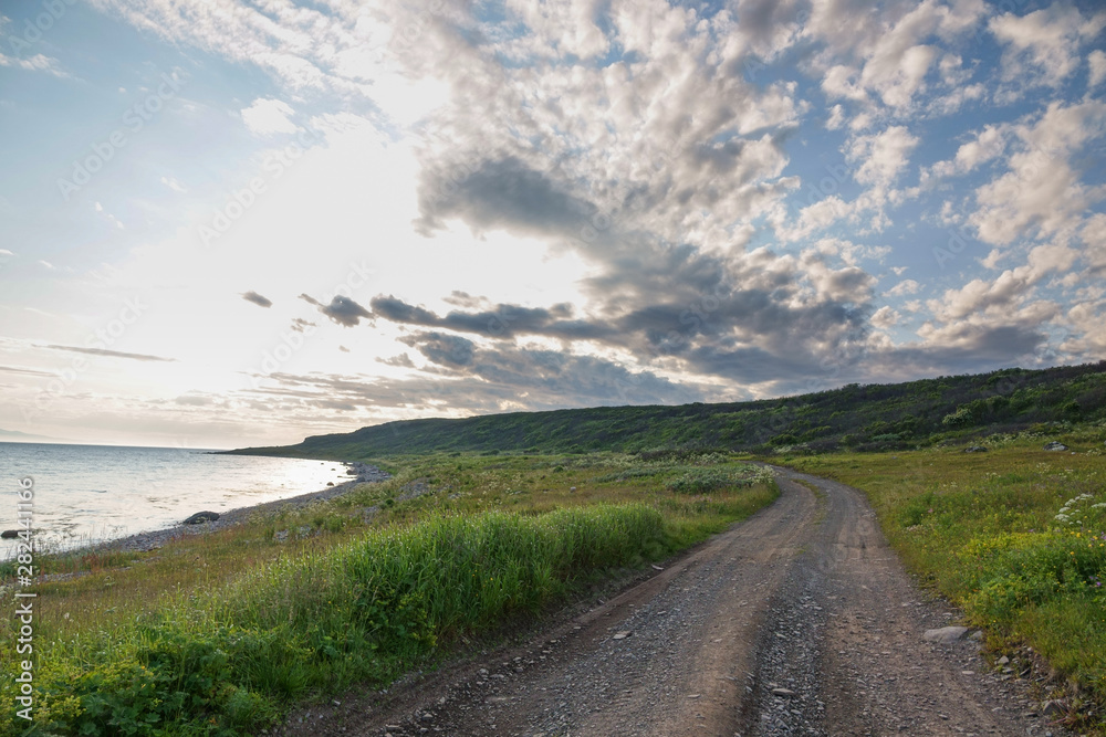 SREDNIY PENINSULA, MURMANSK REGION, Algae thrown surf, shore of the Arctic Ocean, Sredniy peninsula SREDNIY PENINSULA, MURMANSK REGION, Algae thrown surf, shore of the Arctic Ocean, Sredniy peninsula