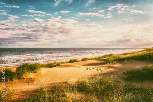Amazing nature landscape with sand dunes, green grass, sea and fantastic blue sky with clouds. Natural outdoor travel background, Northern sea, Netherlands, vintage image