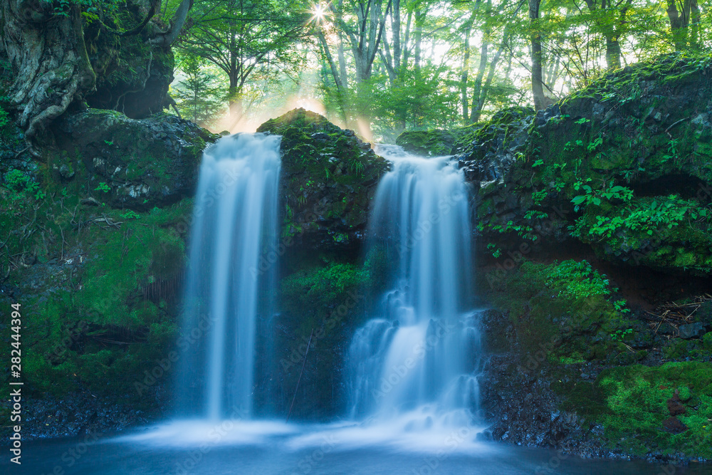 朝日の差し込む夏の富士吉田市鐘山の滝