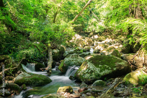                 Chikugo River source                   