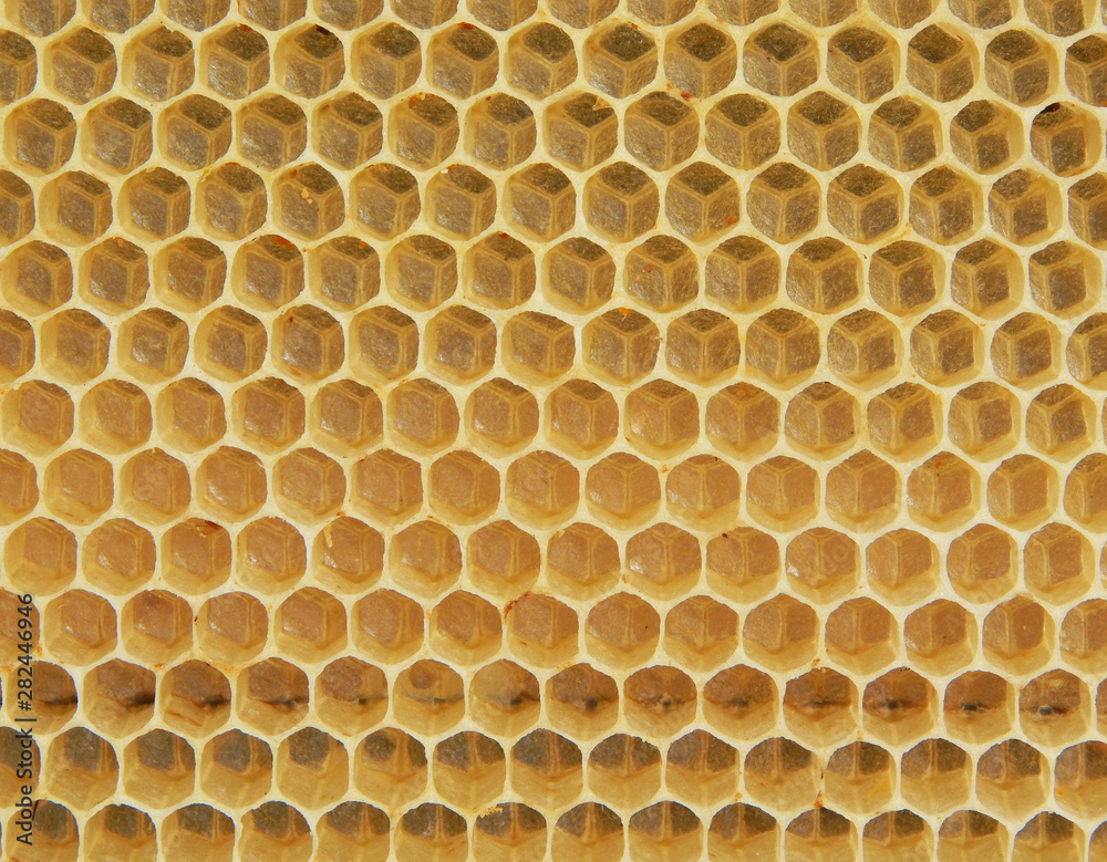 The texture of empty wax honeycombs built by bees. Top view. The texture of empty wax honeycombs built by bees. Top view.