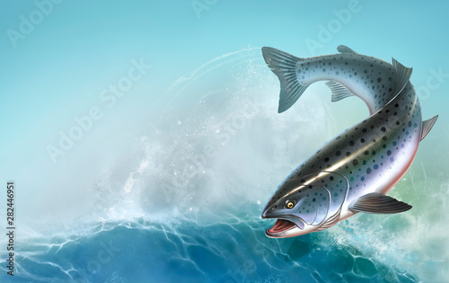 Rainbow trout fish on white background. Chinook Salmon, Salmon, Snout fish big realistic isolated illustration. Atlantic trout. Summer sea waves background.