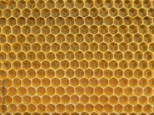 The texture of empty wax honeycombs built by bees. Top view.