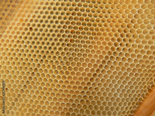The texture of empty wax honeycombs built by bees. Top view.