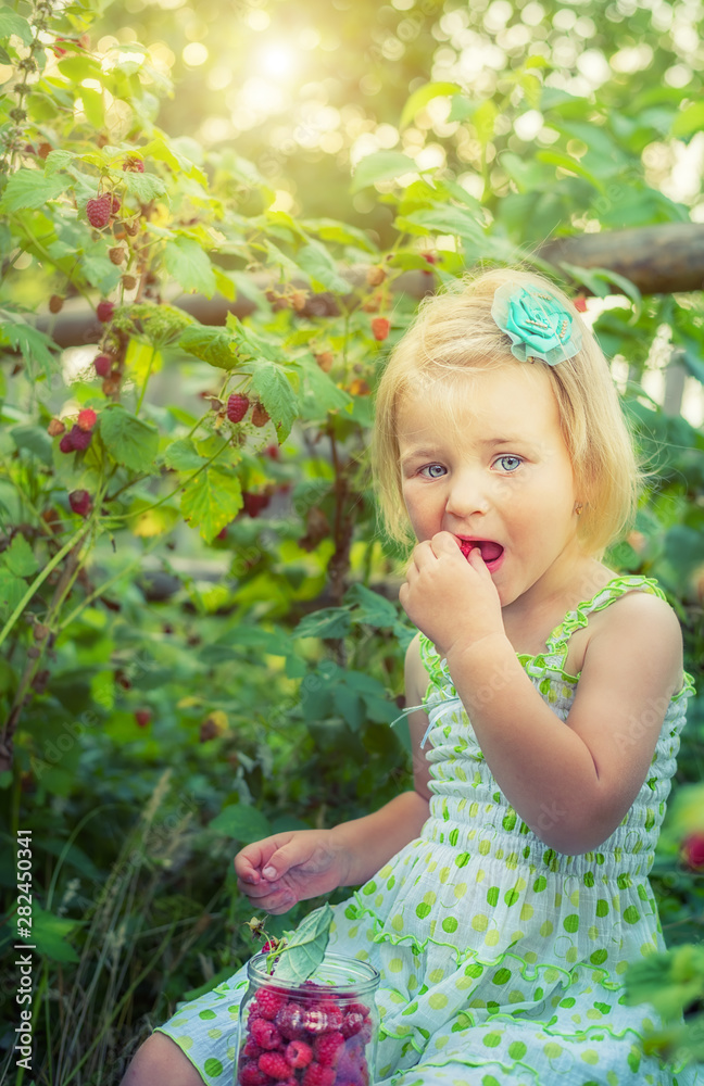 A little girl with a can of raspberry berries in the garden is eating raspberry berries. A little girl with a can of raspberry berries in the garden is eating raspberry berries.