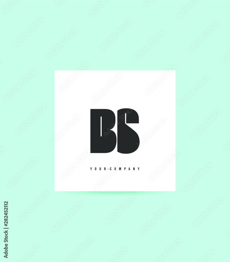 Letters B S logo icon vector for business card and corporate identity. - obrazy, fototapety, plakaty 