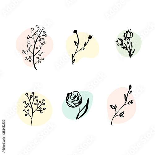 Vector Set botanic elements wildflowers, herbs. Collection garden and wild foliage, flowers, branches. Illustration isolated plants on white background