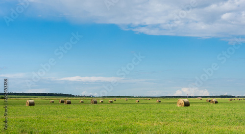 haystacks in the field on a sunny summer day